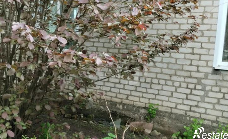 4-комн квартира Долгоруковский муниципальный округ, деревня Весёлая, Молодёжная улица, 9