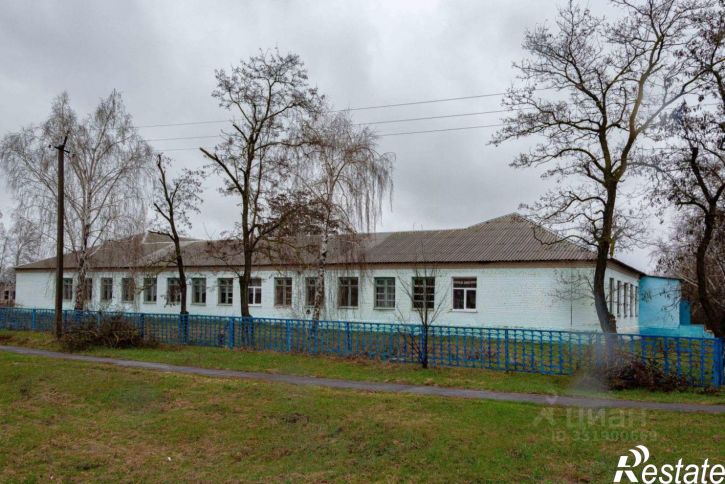 Отдельное здание м.о. Усманский, с. Пластинки