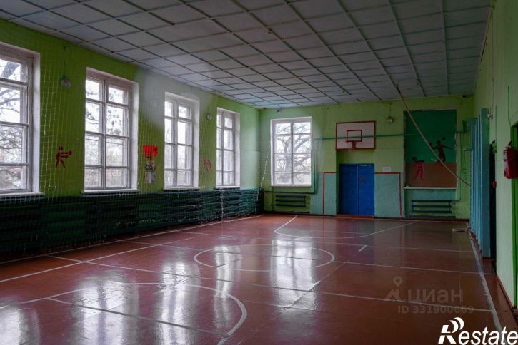 Отдельное здание м.о. Усманский, с. Пластинки
