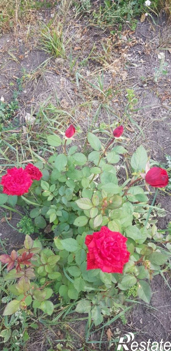 Коттедж/дом ул Центральная, 60,  д. 60