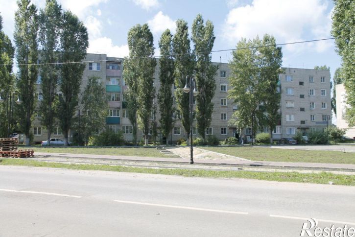 1-комн квартира Чаплыгин, Московская улица