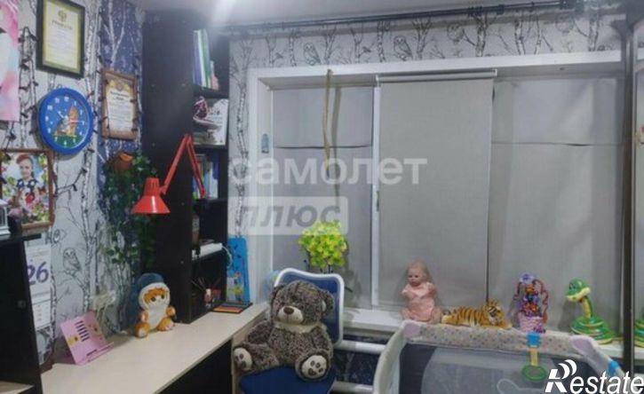3-комн квартира Добринский муниципальный округ, деревня Софьино, Молодёжная улица, 4