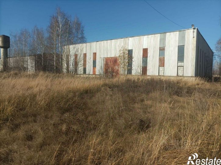 Производственное помещение Грязинский район