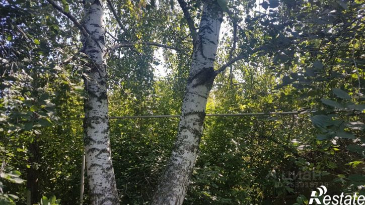Земельный участок Усманский район